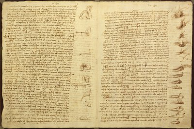 コーデックスレスターのページ、1508-12（リネン紙にセピアインク） 作： Leonardo da Vinci